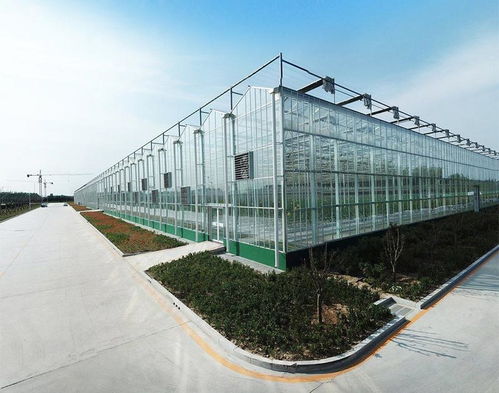 豐貿(mào)溫室公司 專業(yè)打造日照溫室大棚工程，提供一站式安裝服務(wù)