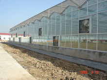 專業(yè)安裝，堅固耐用 鋼結(jié)構(gòu)文絡(luò)型溫室大棚的建造與安裝服務(wù)詳解