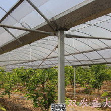 溫室大棚及安裝全解析 價格、批發渠道與廠家服務指南